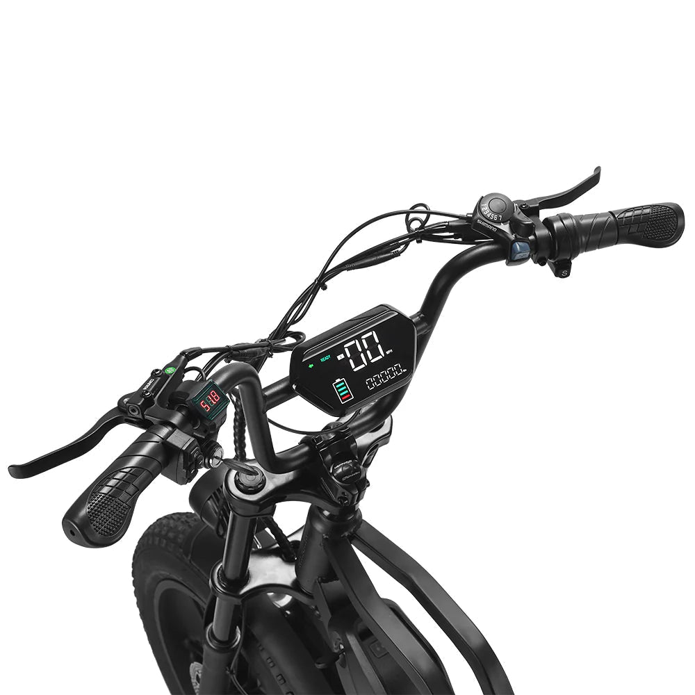 Vélo électrique tout-terrain HAPPYRUN G60C 20" à pneus larges